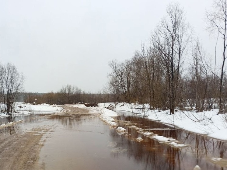 Несколько дорог Поморья оказались подтоплены из-за паводка