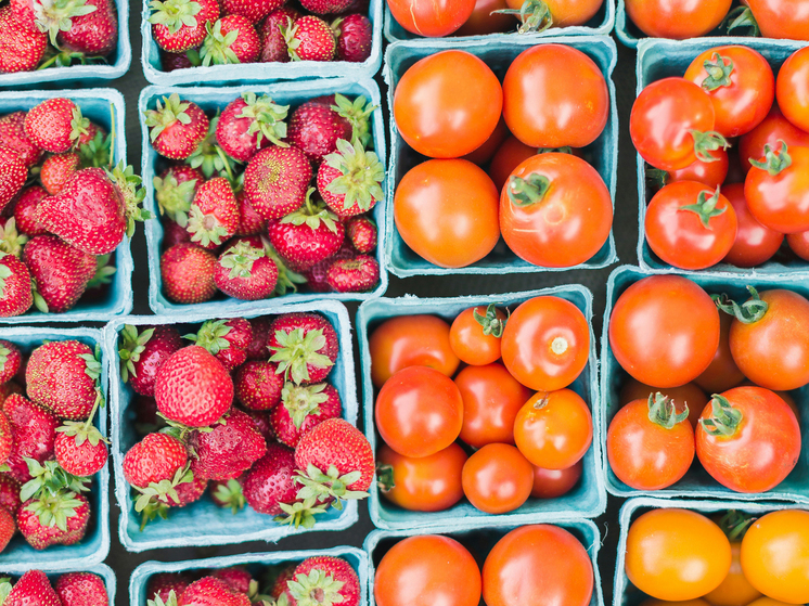 Пластиковая упаковка для пищевых продуктов отрицательно повлияла на здоровье человечества