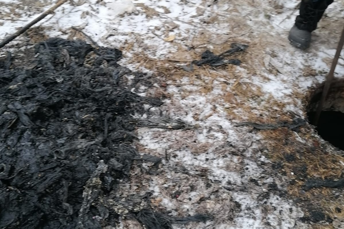 Окурки и ватные палочки приводят к канализационным катастрофам в Карелии