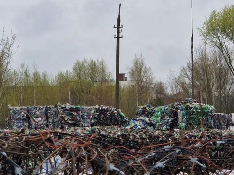 На предприятии в Коломне выявили нарушения экологических норм