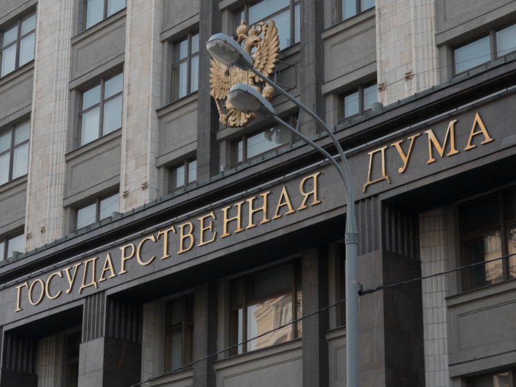 В Думу внесен законопроект о безопасности массовых мероприятий, разработанный после трагедии в "Крокусе"