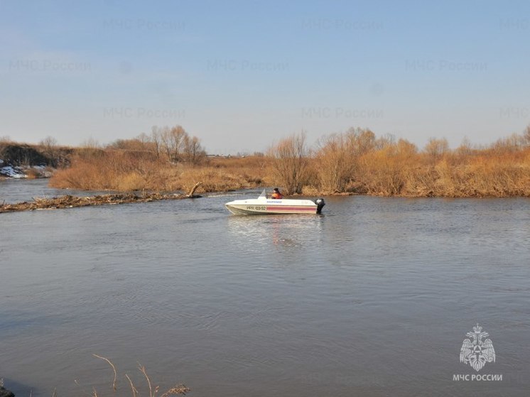 МЧС: За сутки уровень воды в Оке в Рязани понизился на 16 сантиметров
