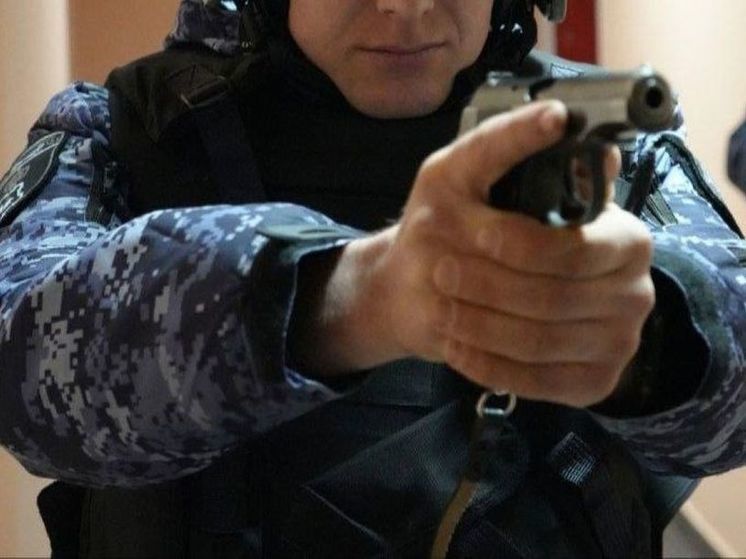 Жителя Фрязино задержали при попытке убийства собственной матери