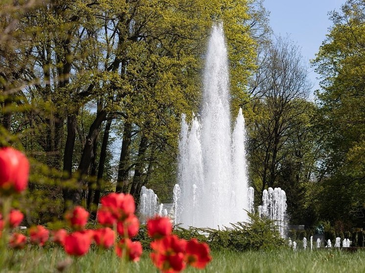 Исторический фонтан запустят в Калининградском зоопарке в честь открытия сезона