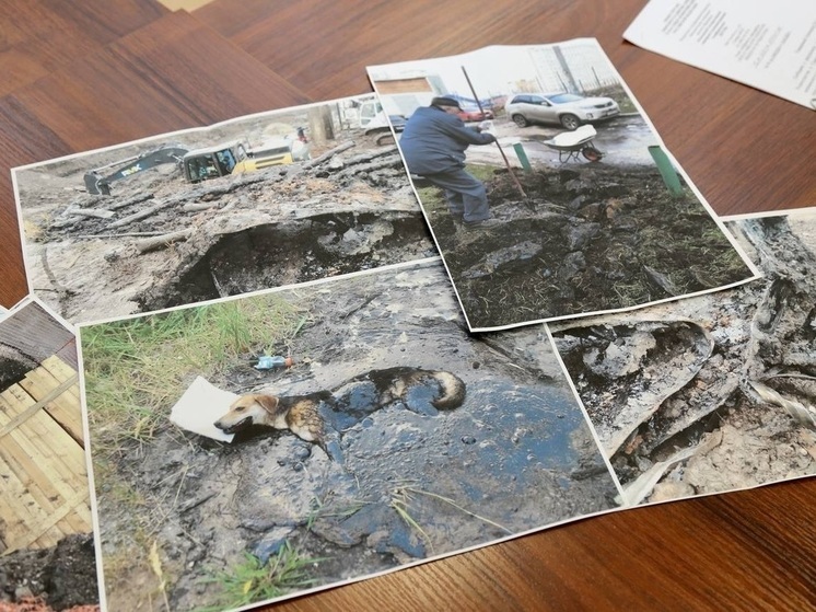 В Самаре избавятся от жутких ям с битумом, в которых застревали дети и животные