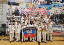 С 18 медалями и 10 кубками вернулась команда донецких каратистов из Москвы