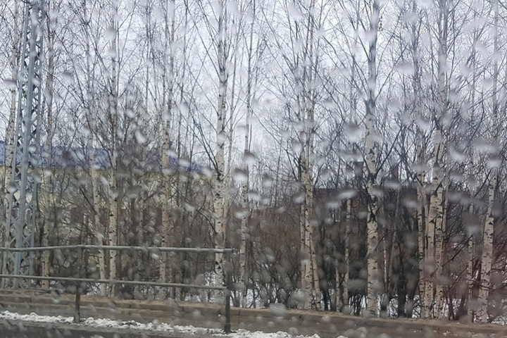 Прохладный день с дождем ожидает жителей Карелии 25 апреля