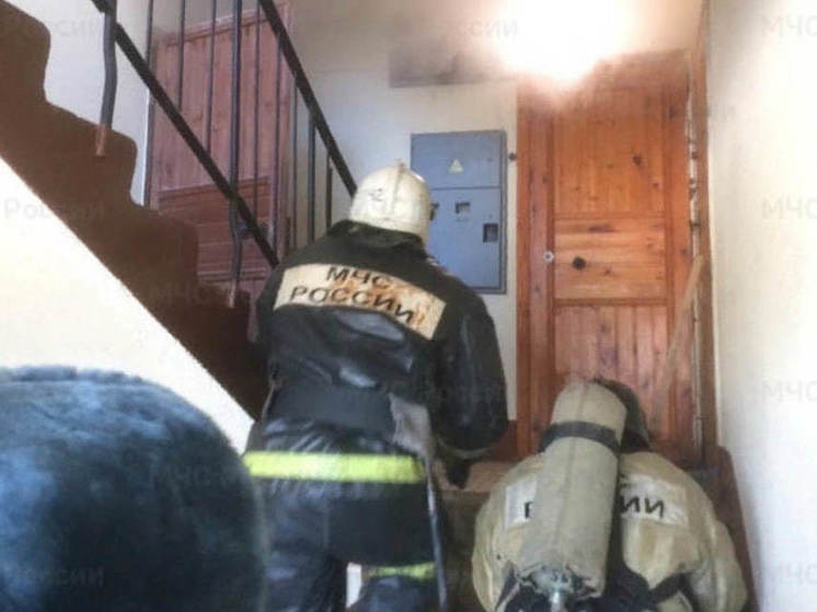 Пятерых человек эвакуировали из-за пожара в многоквартирном доме в поселке Сиверский