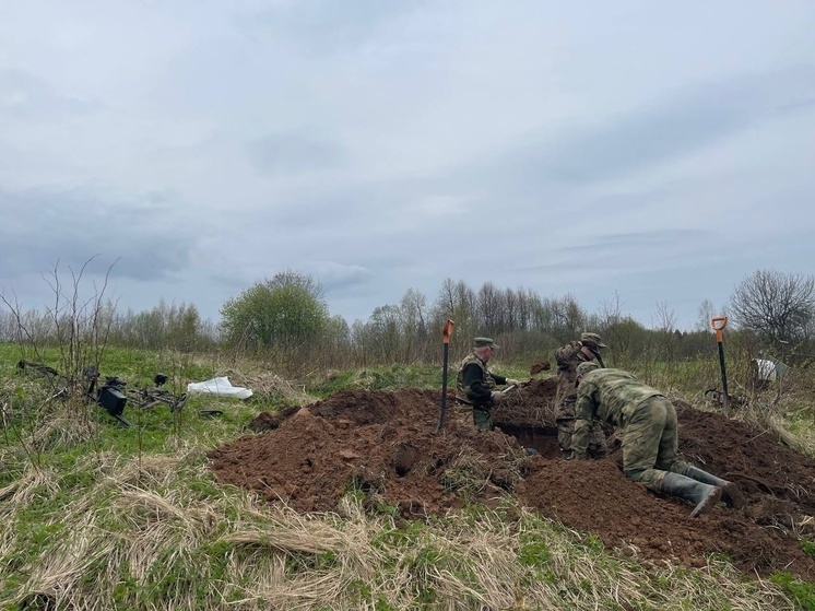 Останки восьми бойцов Красной Армии нашли поисковики в Псковской области