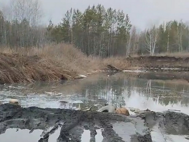 Остров отходов средь фекального озера: в Красноярском крае создают новую «достопримечательность»