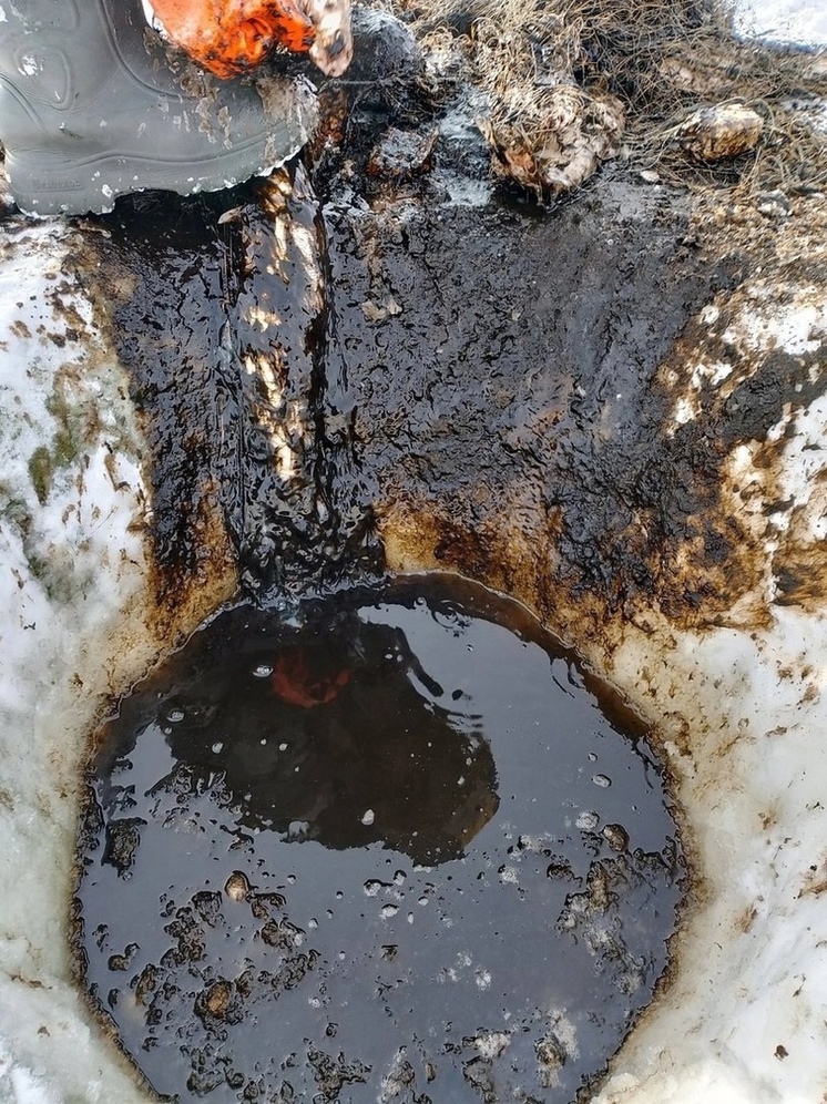 Жители Ямальского района сообщили о разливе нефти в тундре