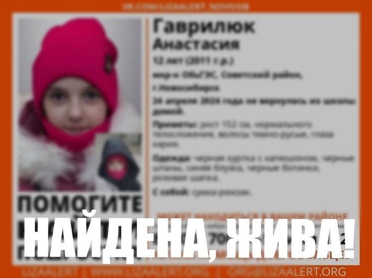 В Новосибирске прекратили поиски пропавшей 12-летней девочки