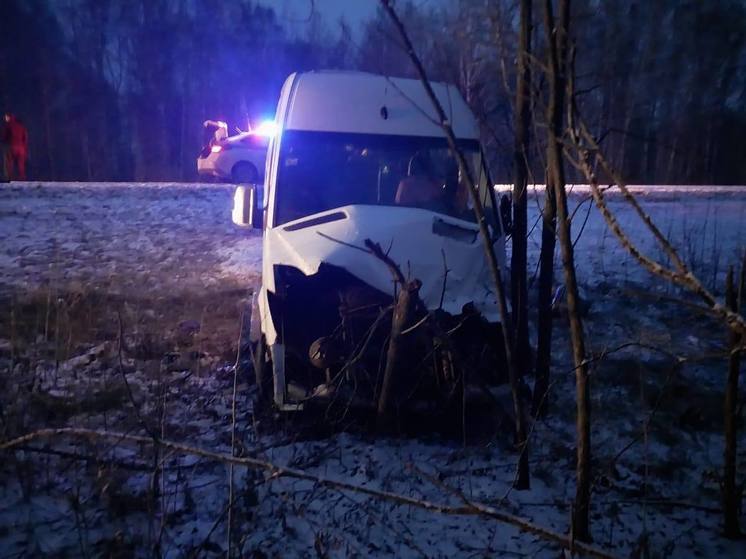 В ГИБДД рассказали подробности аварии с микроавтобусом и грузовиком под Новосибирском