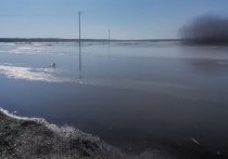 Утром 25 апреля стало известно, что голова ледохода на Оби в Томской области добралась до Колпашевского района
