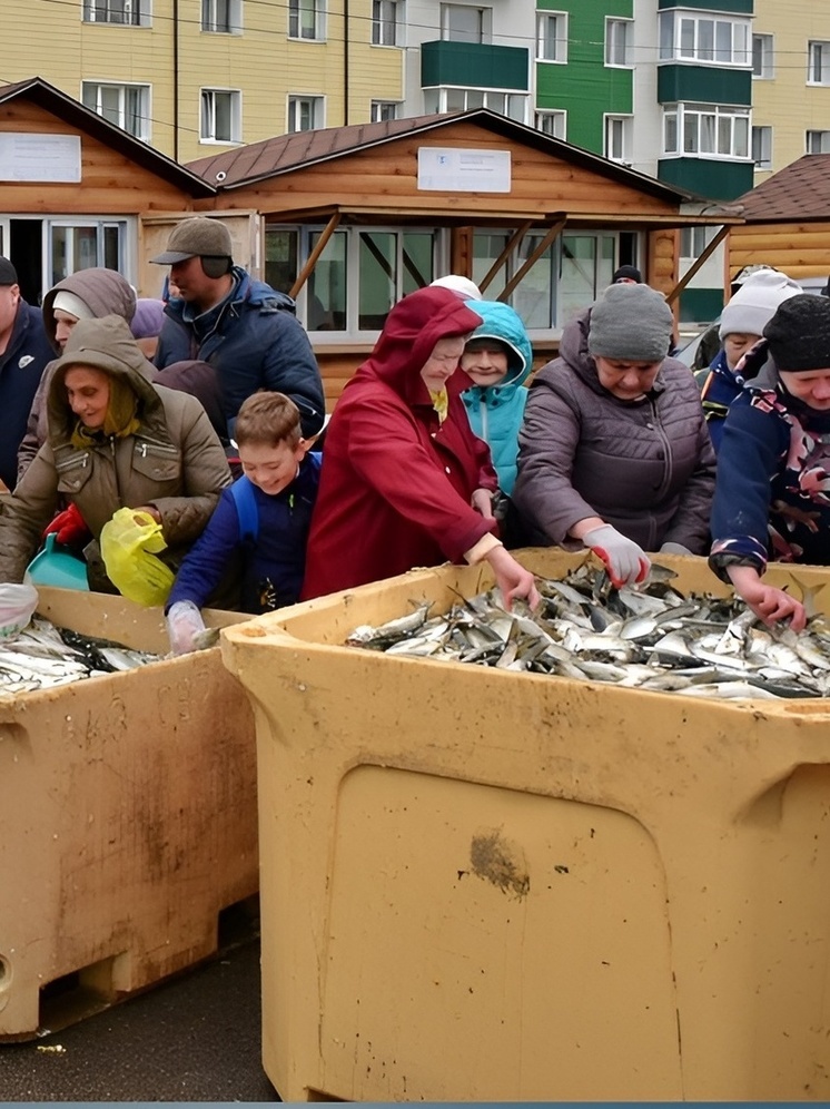 Жителям Макарова бесплатно раздали полторы тонны селедки