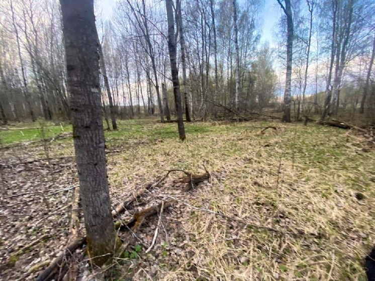 В Тверской области егерь нашел в лесу труп мужчины