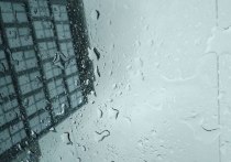 Южный циклон под названием «Бирута» принес в Северную столицу дожди. Они будут лить 25 апреля весь день с небольшими перерывами, рассказал в своем telegram-канале синоптик Михаил Леус со ссылкой на «Метеовести.РУ».