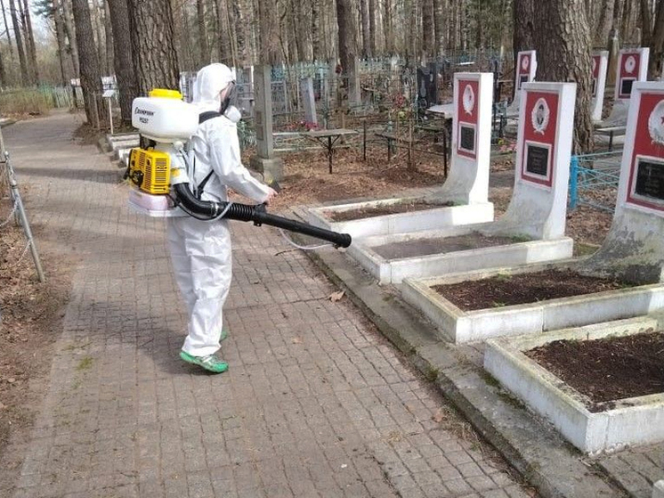 Кировские кладбища обработают от клеща до 9 мая