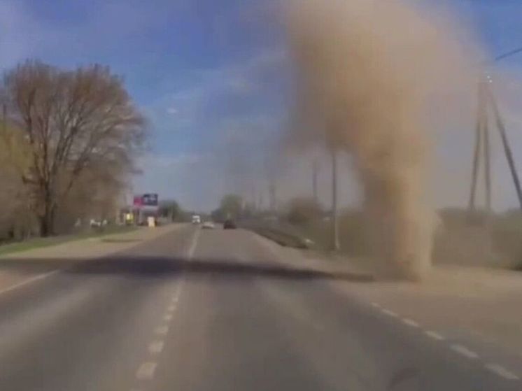 В Подмосковье заметили мини-торнадо прямо у дороги
