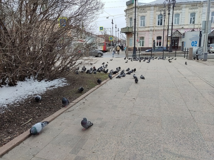 Потепление до +10 градусов ожидается в Томске 26 апреля