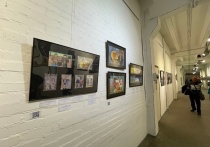 Впервые в республике 29 апреля в новом выставочном зале Детской художественной школы имени Д.И. Каратанова свои картины покажут авторы из Горного Алтая. 