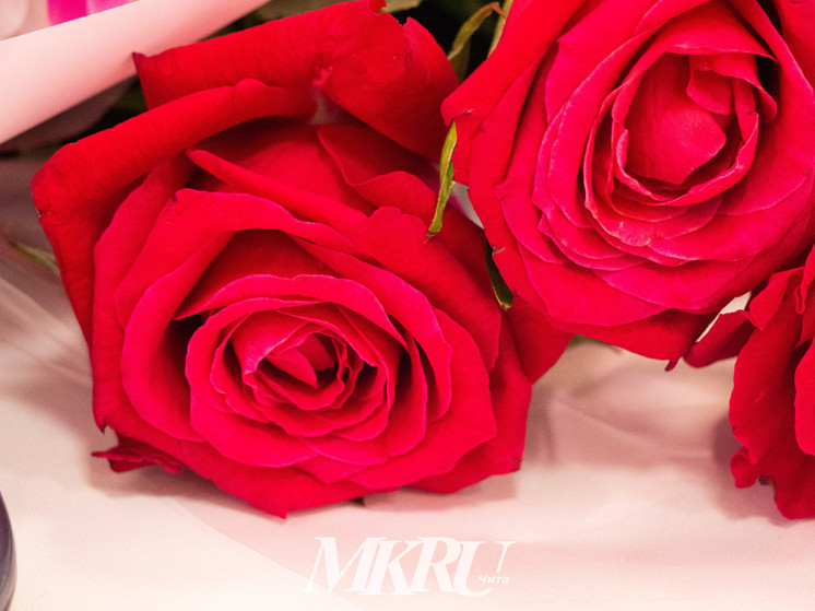 «МК в Чите» публикует адреса продажи цветов на Родительский день