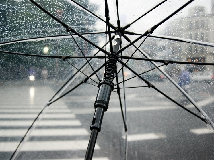 Небольшой дождь ожидается в Псковской области 26 апреля