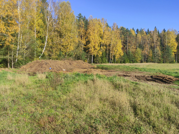 В Тверской области сваленный у леса навоз нанес ущерб на 2,5 миллиона рублей