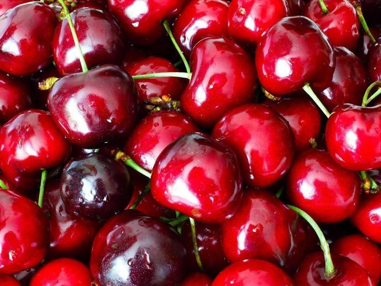 Из-за заморозков Запорожская область может остаться без черешни