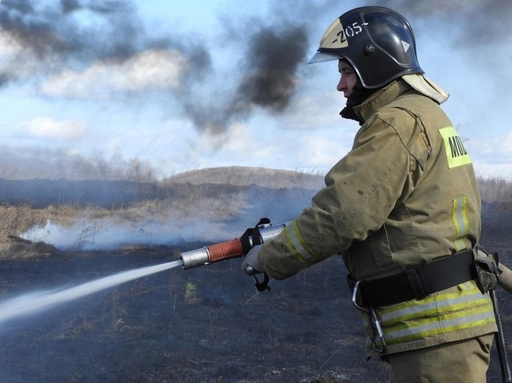 Спасатели округа Лотошино ликвидировали пожар в деревне Афанасово