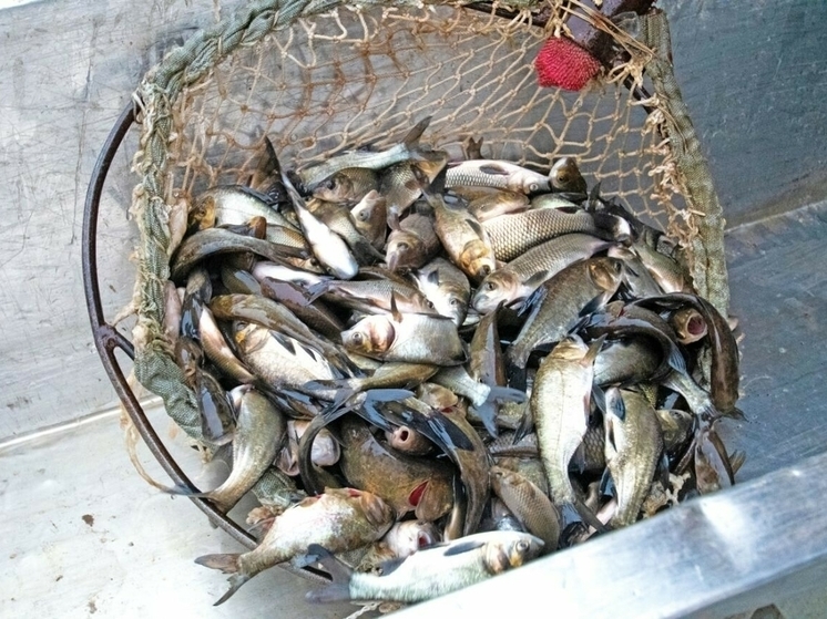 Запрет на промышленное рыболовство начался в Татарстане