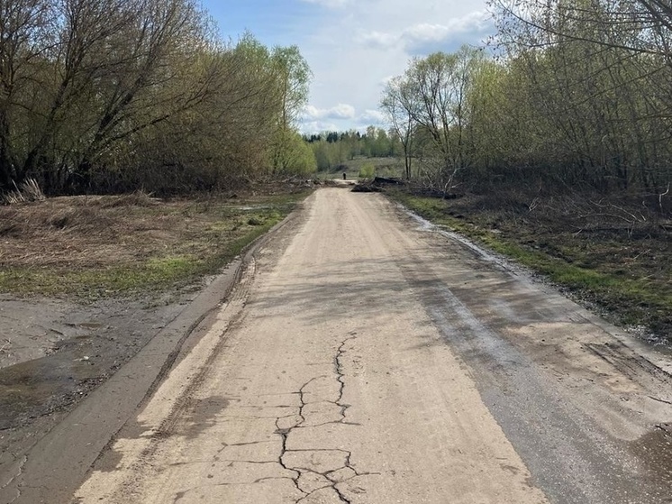 В Рязанской области от воды освободились 13 приусадебных участков и мост