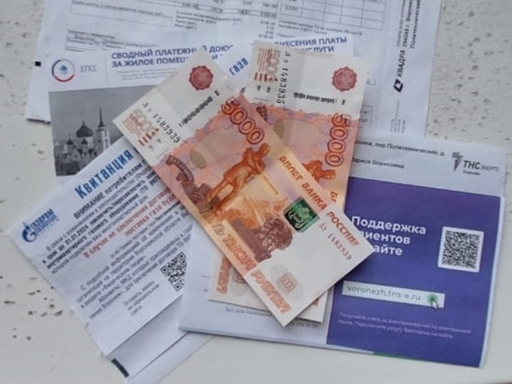 Жители Воронежской области в мае получат новые квитанции за свет