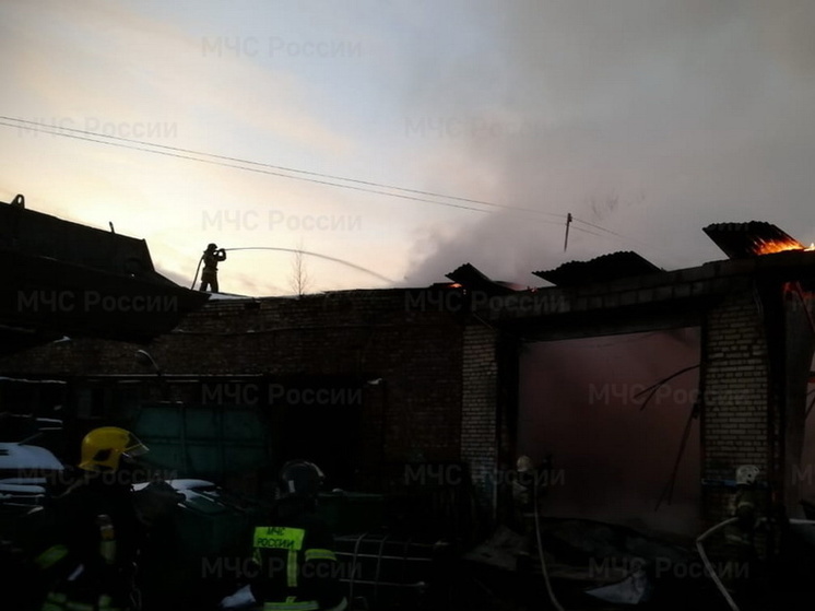 Пожар произошел в деревне Вистино Кингисеппского района