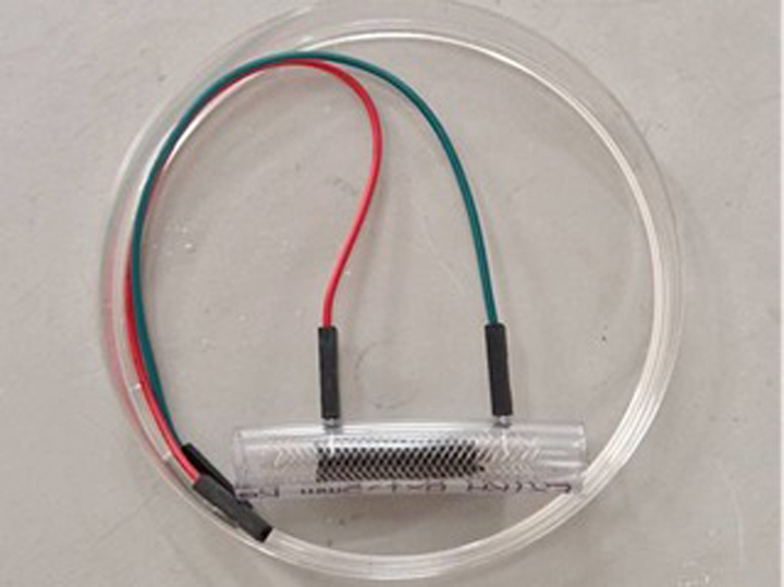 Человек – биохимический реактор: студентка разработала "вечный" мотор для кардиостимулятора