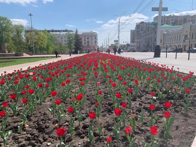 В Тамбовской области усилят меры безопасности на майских праздниках
