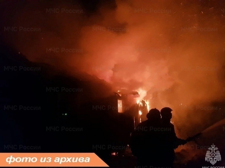 Сотрудники МЧС потушили горящую баню в поселке Разметелево