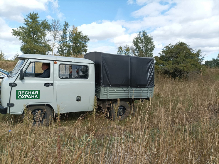 В пожароопасный период в Курской области продолжаются патрулирования лесов