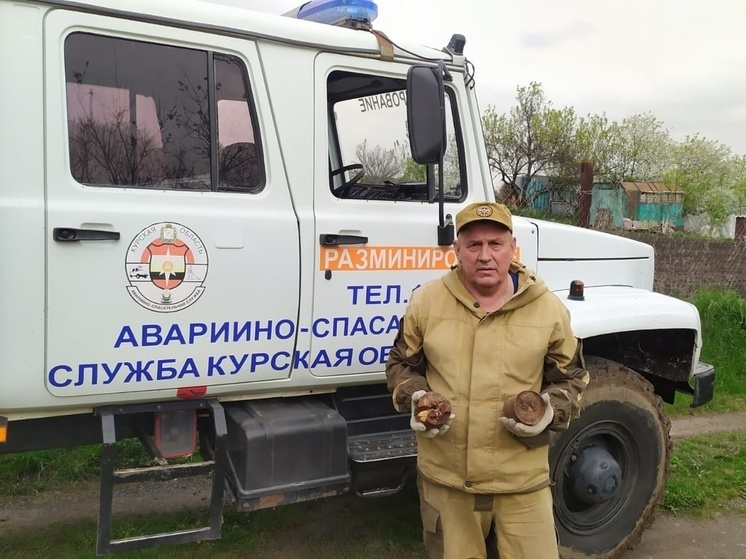 В Курской области обнаружили две гранаты РПГ-40