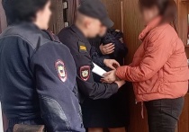 В Орловской области в городе Дмитровск под стражу заключили женщину, которую подозревают в мошенничестве