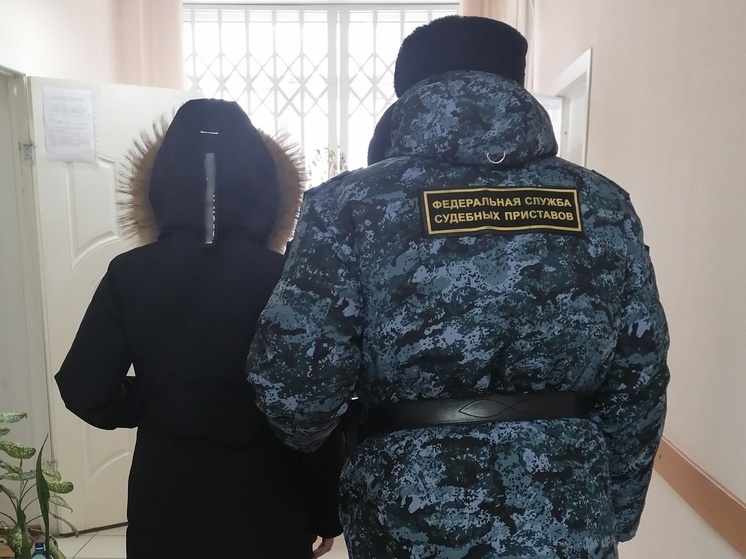 Алиметнщица из Новосибирской области пыталась сбежать от приставов через потайную дверь в доме