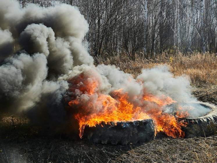 Ядовитый запах гари накрыл Воронеж