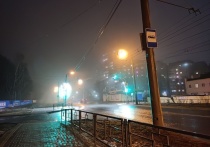 О ночном инциденте 26 апреля сообщила полиция Томской области