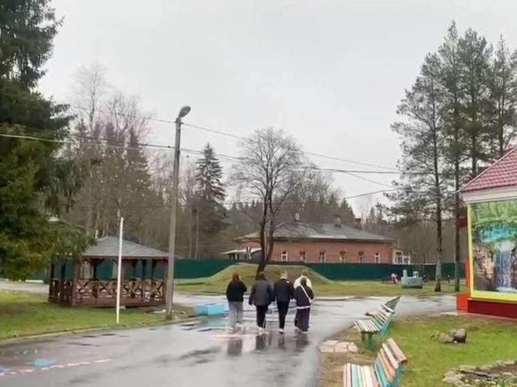 Школьники из Енакиево приехали в Ленобласть, а педагоги из Сяськелево устроили телемост с Донецком