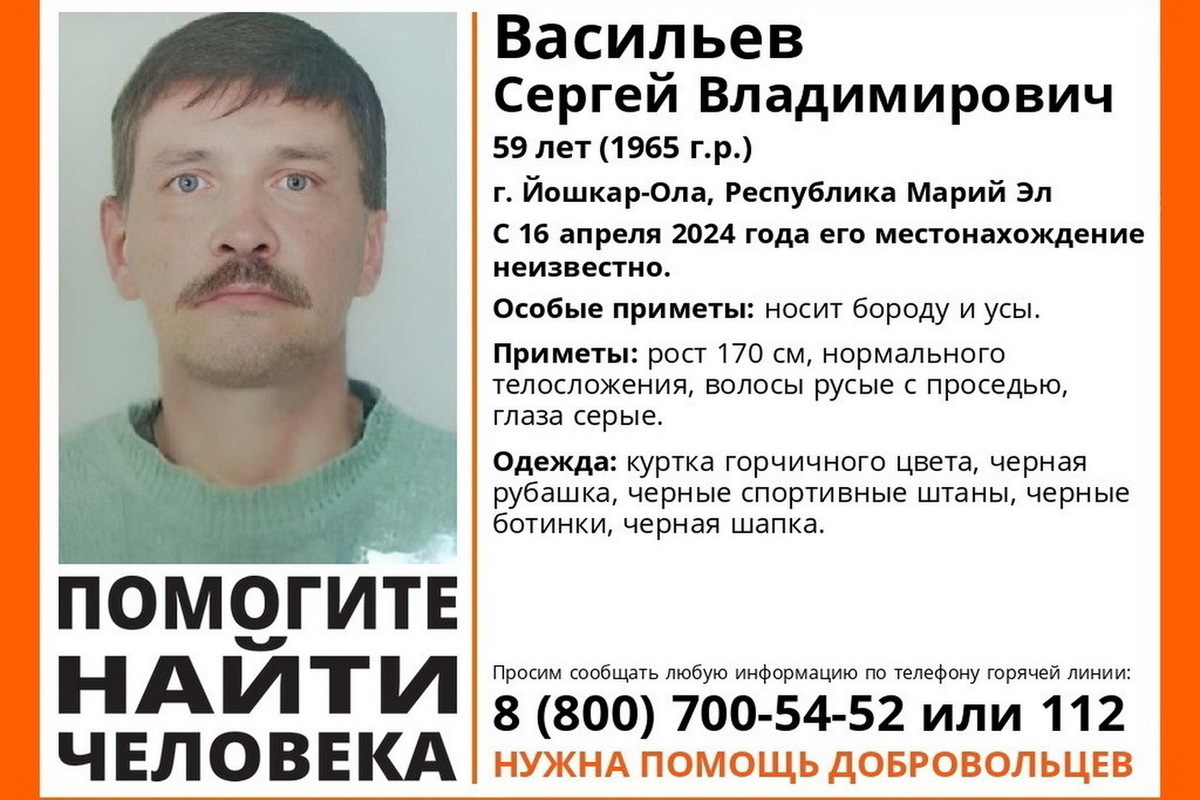 пропал лиза алерт