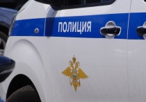 Уголовное дело возбудили в отношении 34-летнего жителя города Шарыпово