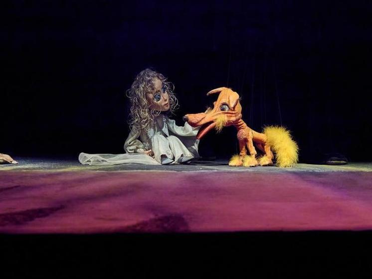В Иркутском театре кукол попрощались с «Маленьким принцем»
