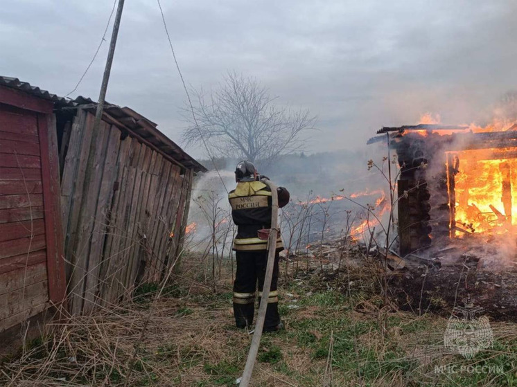 В СНТ «Северный» в Иванове пожар уничтожил два садовых домика и повредил третий