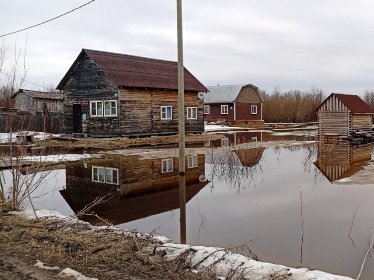 Уровень воды на в Холмогорах по данным на 8 часов утра 26 апреля составил 828 см (ня 800 см)