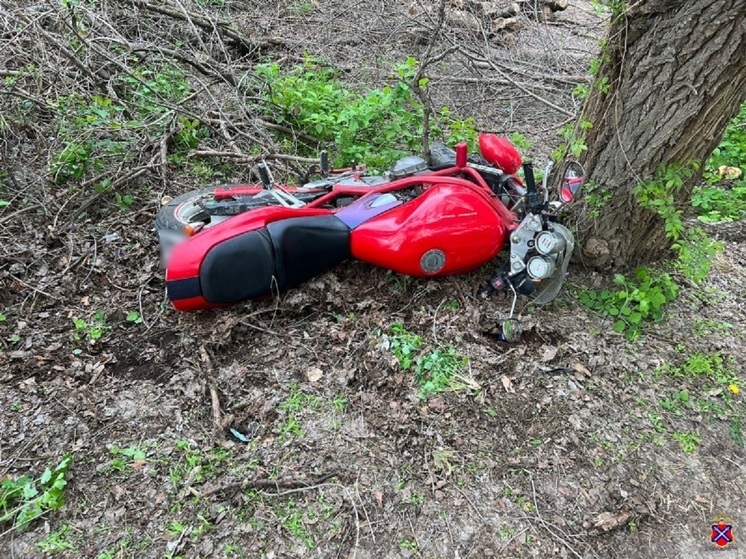 В Волгоградской области мотоциклист въехал в дерево, пострадала пассажирка